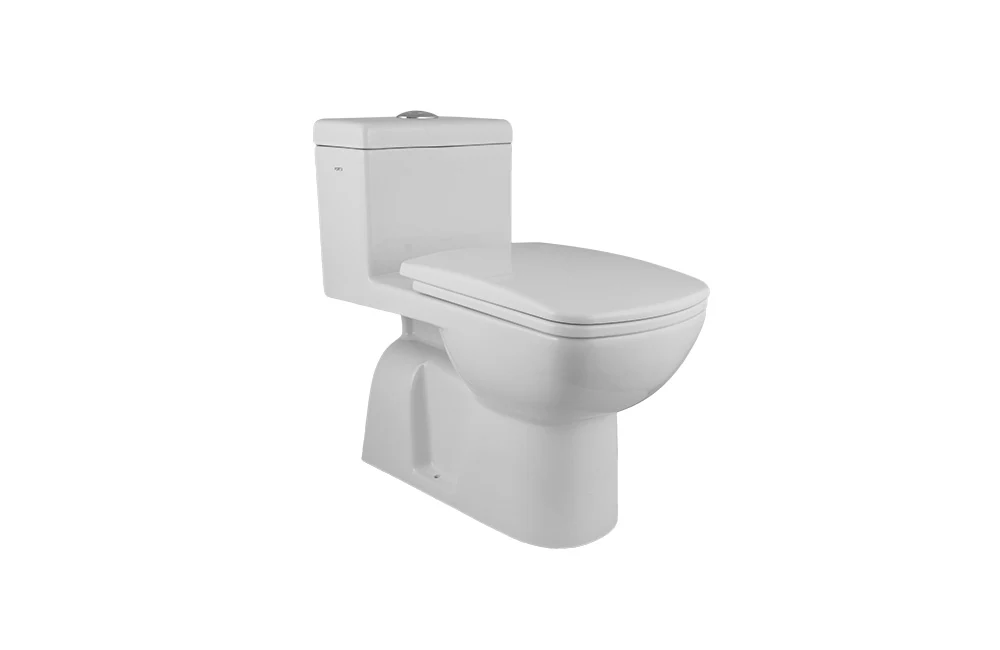 HD101N One Piece WC